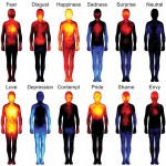 where we feel emotions in our body